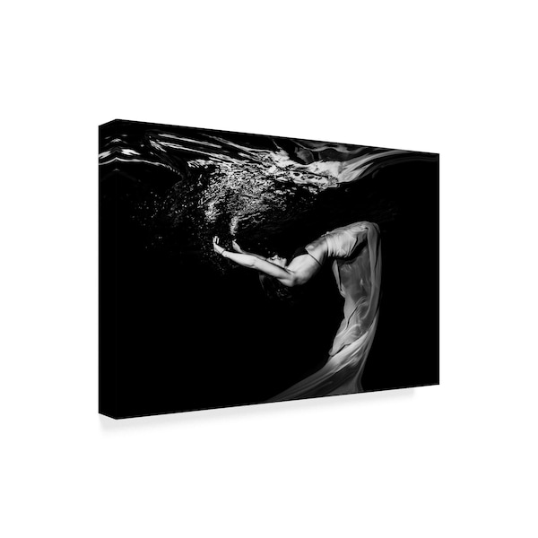 Ken Kiefer 'Flow Water' Canvas Art,12x19